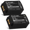 2x Batteri 700mAh