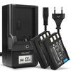 2x Batteri 1000mAh + Oplader