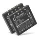 2x Battery (700mAh, 6V)