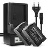 2x Batteri 2200mAh+ Oplader
