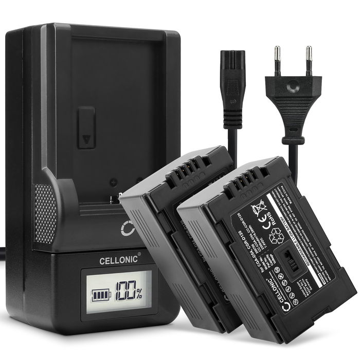 2x Kamera batteri til Panasonic AG-DVX100 NV-GS11 NV-DS60 NV-GS1 NV-DS27 NV-DS29 NV-MX500 NV-DA1 NV-DS15 - Udskift CGA-D54 CGR-D120 -D220 batteri + Oplader ekstra batteri