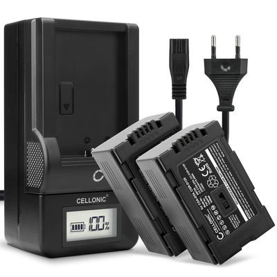 2x Kamera batteri til Panasonic AG-DVX100 NV-GS11 NV-DS60 NV-GS1 NV-DS27 NV-DS29 NV-MX500 NV-DA1 NV-DS15 - Udskift CGA-D54 CGR-D120 -D220 batteri + Oplader ekstra batteri