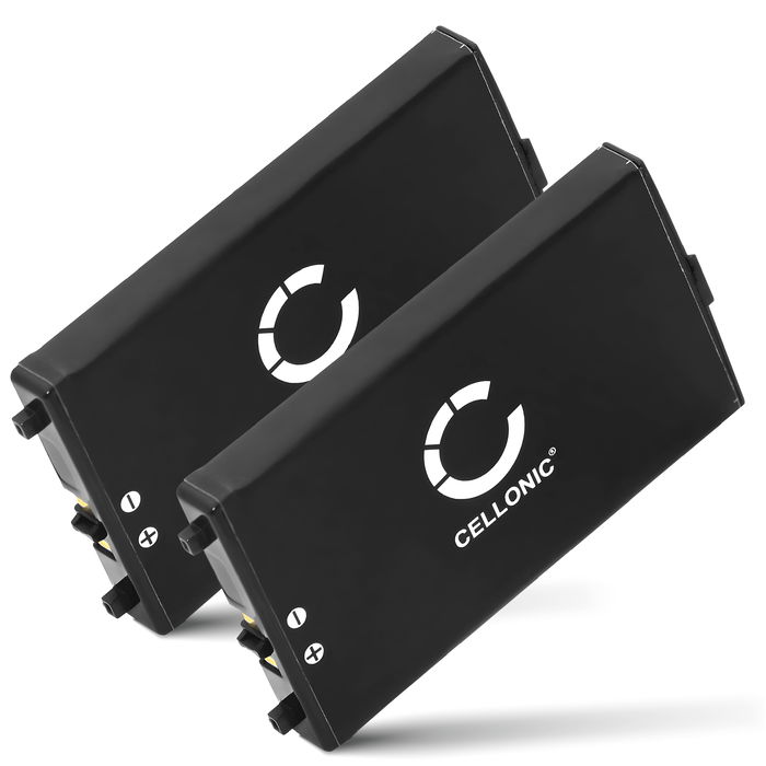 2x Nintendo DS Batteri