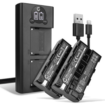 2x NP-F750 batterier til Sony HDR-FX7 HDR-FX1 HDR-FX1000 DSR-PD150 GV-HD700 DSR-PD170 GV-HD700E videokamera 2600mAh NP-F550 batteri udskiftning + USB LCD dobbelt oplader