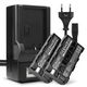 2x Batteri 2600mAh + Oplader